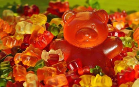 Multicolored marmalade bears