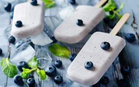 Tasty ice cream with blueberries on a table with ice cubes