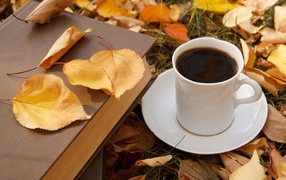 White cup of coffee with a book on dry leaves in autumn