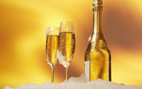 A bottle of champagne and two wine glasses stand on white snow