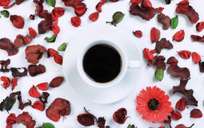 A cup of coffee on a white surface with dry petals