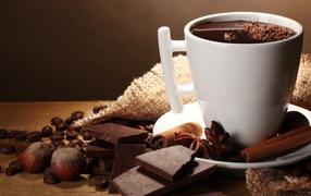 A cup of hot chocolate on a table with cinnamon, badan and hazelnuts