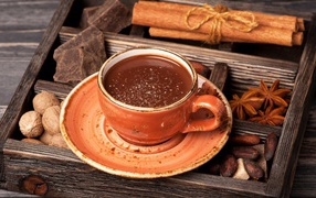 A cup of hot chocolate with spices