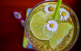 Carbonated drink with chunks of lime and daisies in a glass