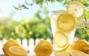 Холодный лимонад в стакане с кусочками лимона