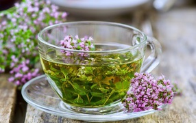 Glass cup of green tea with thyme flowers
