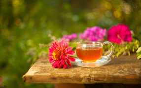 Glass cup of tea on a table with a flower of zinnia