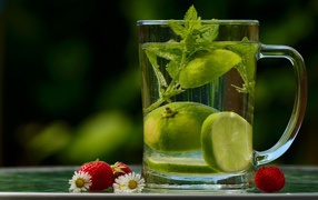Refreshing drink with lime and mint in a glass cup