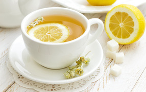 White cup of flower tea with lemon