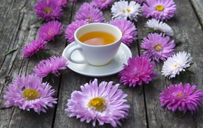 White cup of tea on a table with asters