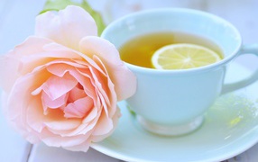 White cup of tea with lemon and pink rose