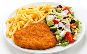 Chop on a plate with french fries and salad