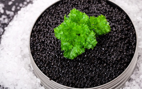 Black caviar can with parsley leaf