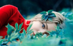 A blue-eyed girl in a red sweater lies in green leaves