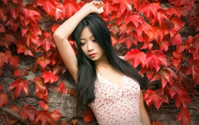 Молодая девушка азиатка стоит у стены с красными листьями