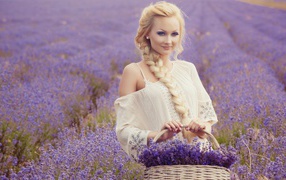 Красивая блондинка с корзиной лаванды в руках