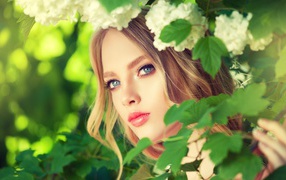 Красивая голубоглазая девушка в белых цветах 