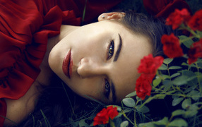 Beautiful brunette lies on the grass with red roses