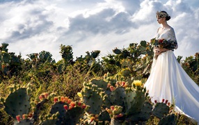 Красивая девушка в белом свадебном платье на поле с кактусами