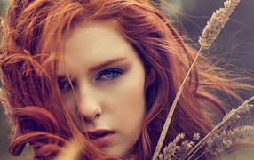 Красивая рыжеволосая девушки с колосками 