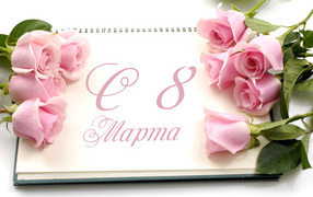 Beautiful greeting card with pink roses on March 8