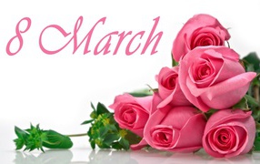 Букет розовых роз на белом фоне на 8 марта