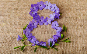 Цифра 8 из сиреневых цветов на Международный женский день 8 марта