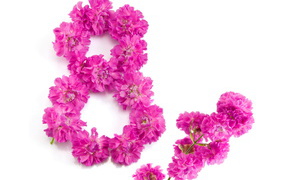 Восьмерка из розовых цветов гвоздики на Международный женский день 8 марта