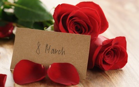 Красные розы и записка на Международный женский день 8 марта