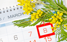 Ветка желтой мимозы и календарь на Международный женский день
