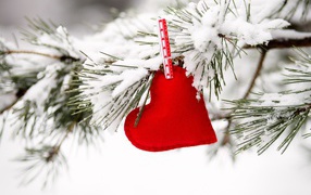 Red heart hangs on a snow-covered pine branch