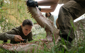 Кадр из фильма Аннигиляция, 2018