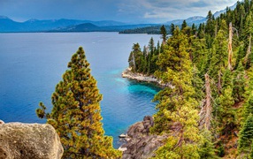 Красивое побережье покрыто зелеными соснами 