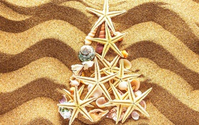 Елка из морских звезд на разноцветном песке 