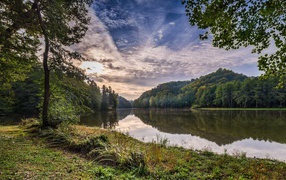 Зеленые деревья на берегу реки под красивым небом