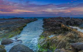 Покрытые мхом камни в морском заливе