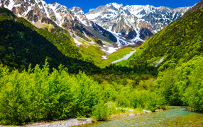 Горная река на фоне заснеженных гор с зеленой растительностью