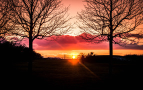 Силуэты деревьев на фоне яркого солнца