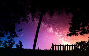 Силуэты деревьев на фоне звездного неба