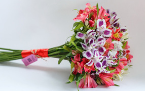 Букет цветов альстромерия на сером фоне 