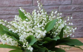 A bouquet of white lily of the valley with green leaves
