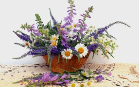 Корзина красивых полевых цветов на сером фоне