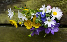 Красивый букет полевых цветов