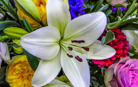 Красивая крупная белая лилия в букете крупным планом 