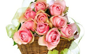 Bouquet of pink roses in a basket with ribbon on white background