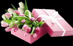 Букет розовых тюльпанов в розовой коробке на черном фоне