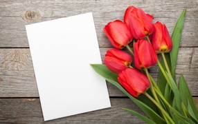 Букет красных тюльпанов с белым листом, шаблон для открытки