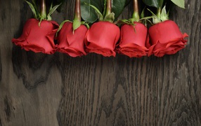 Five red roses on a wooden surface, a template for a postcard