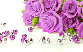 Сиреневые розы с бусинами на белом фоне