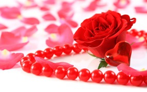 Красная роза с бусами и маленьким красным сердечком